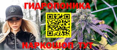 скорость Гусев
