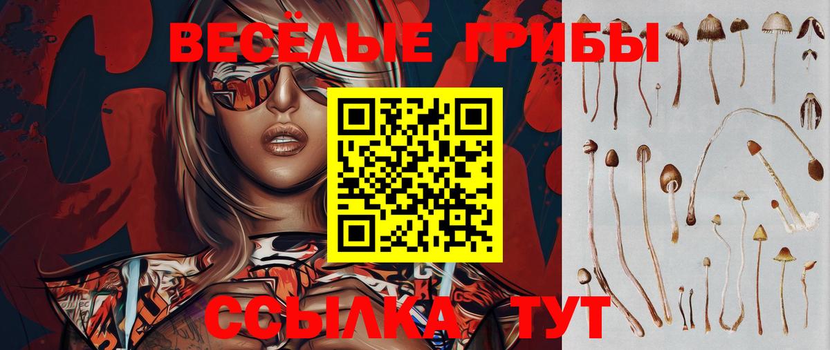 Галлюциногенные грибы Psilocybe Череповец